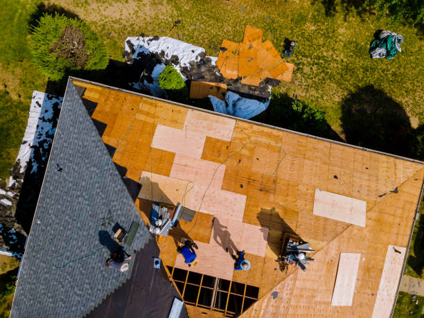 Best Roof Gutter Cleaning  in Altamont, OR